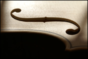 Violon par Guillaume Schnau